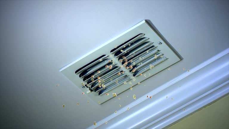Best Emergency Air Duct Cleaning  in Leadwood, MO