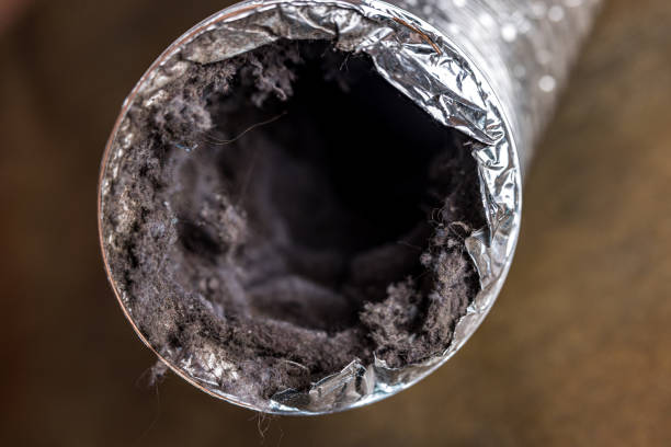 Best Air Duct Sanitizing Services  in Leadwood, MO
